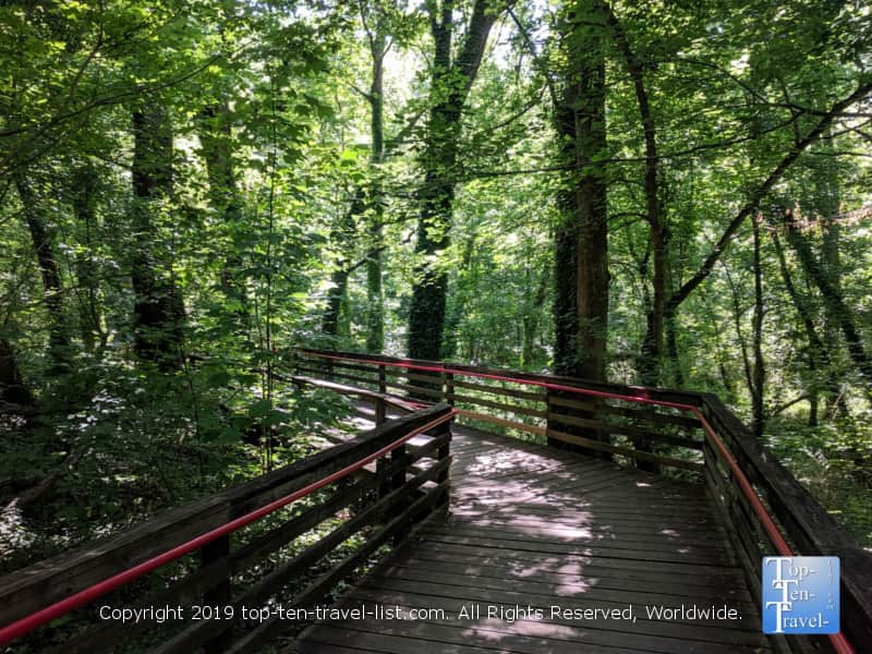 Boardwalk at Cascade Springs Nature Preserve in Atlanta