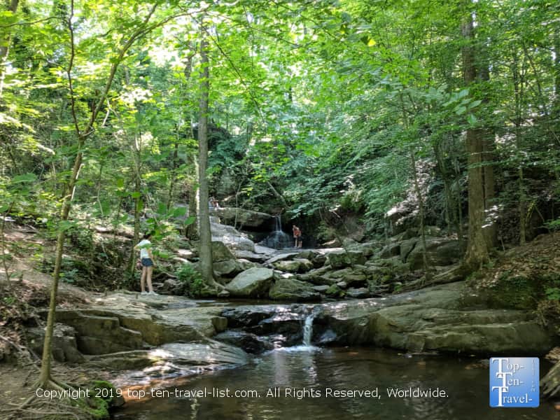 Cascade Springs Nature Preserve in Atlanta