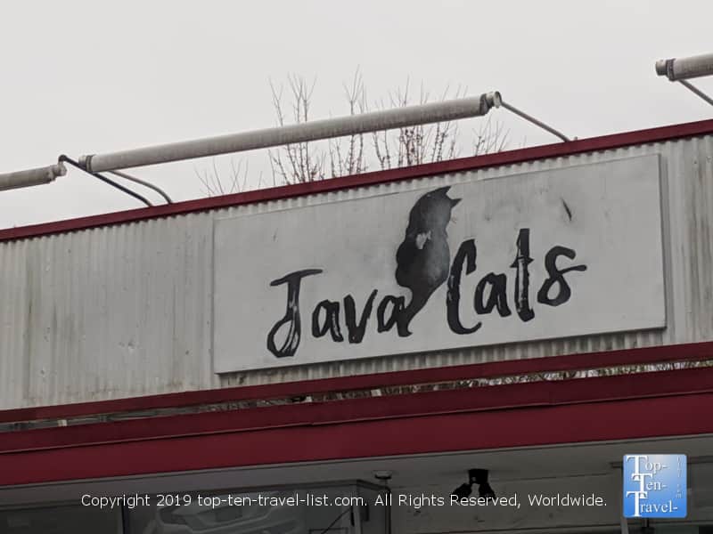 Java Cats Cafe in Atlanta, Georgia 