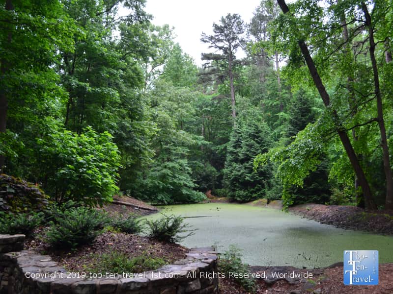 Serene views from Hatcher Garden and Woodland Preserve in Spartanburg, South Carolina