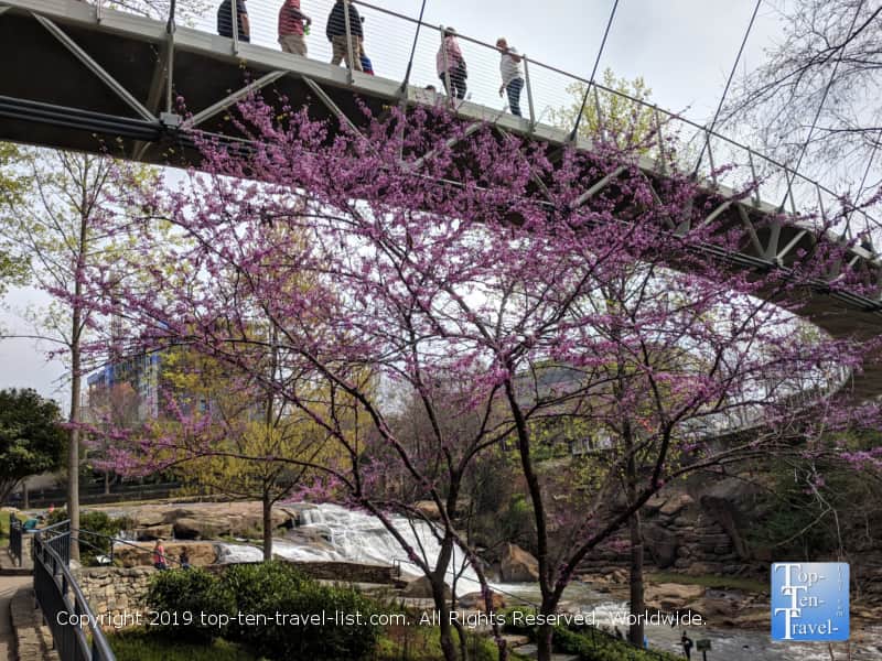 Liberty Bridge in downtown Greenville