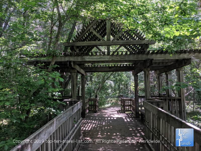 Beautiful boardwalk at Beaver Lake Bird sanctuary