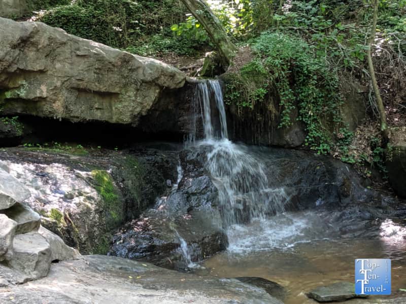 Waterfall at Cascade Springs Nature Preserve in Atlanta