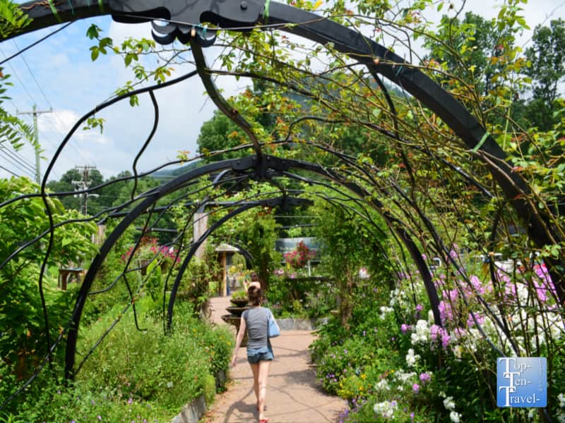 The Lake Lure Flowering Bridge