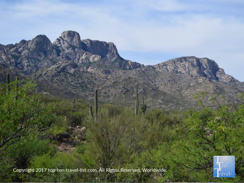 Catalina State Park in Tucson, Arizona 