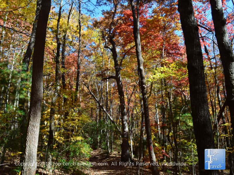 Fall foliage at Caesars Head State Park in Upstate South Carolina