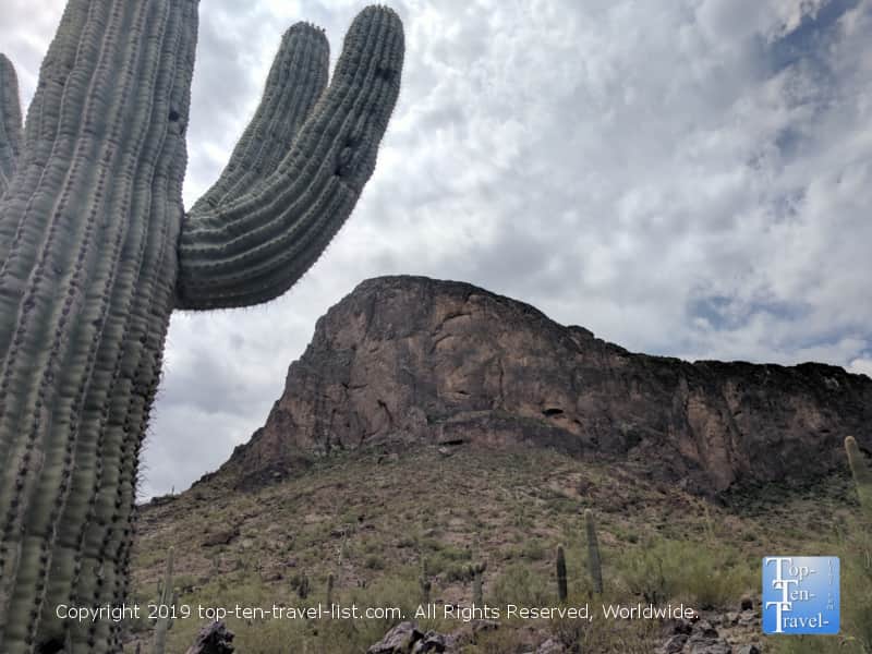 Giant Saguaro at Picacho Peak State Park in Arizona