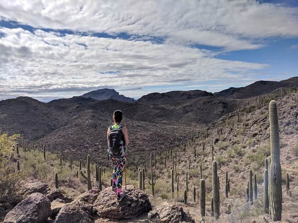 Bowen Hidden Canyon trail in Tucson, Arizona 