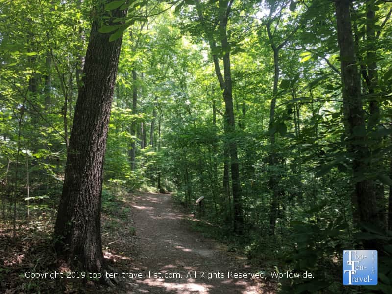 Nature trail at the South Carolina Botanical Garden