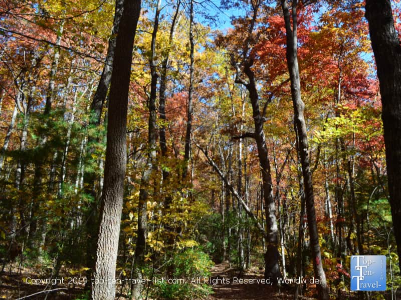 Gorgeous foliage at Jones Gap State Park in Upstate South Carolina