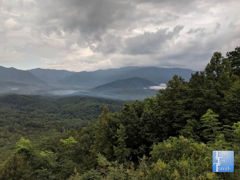 Spring in the Smoky Mountains
