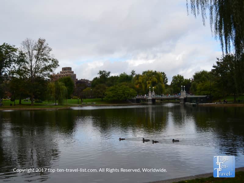 Lagoon at Boston Public Garden