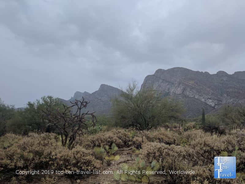 Gorgeous mountain scenery at Catalina State Park in Oro Valley, Arizona