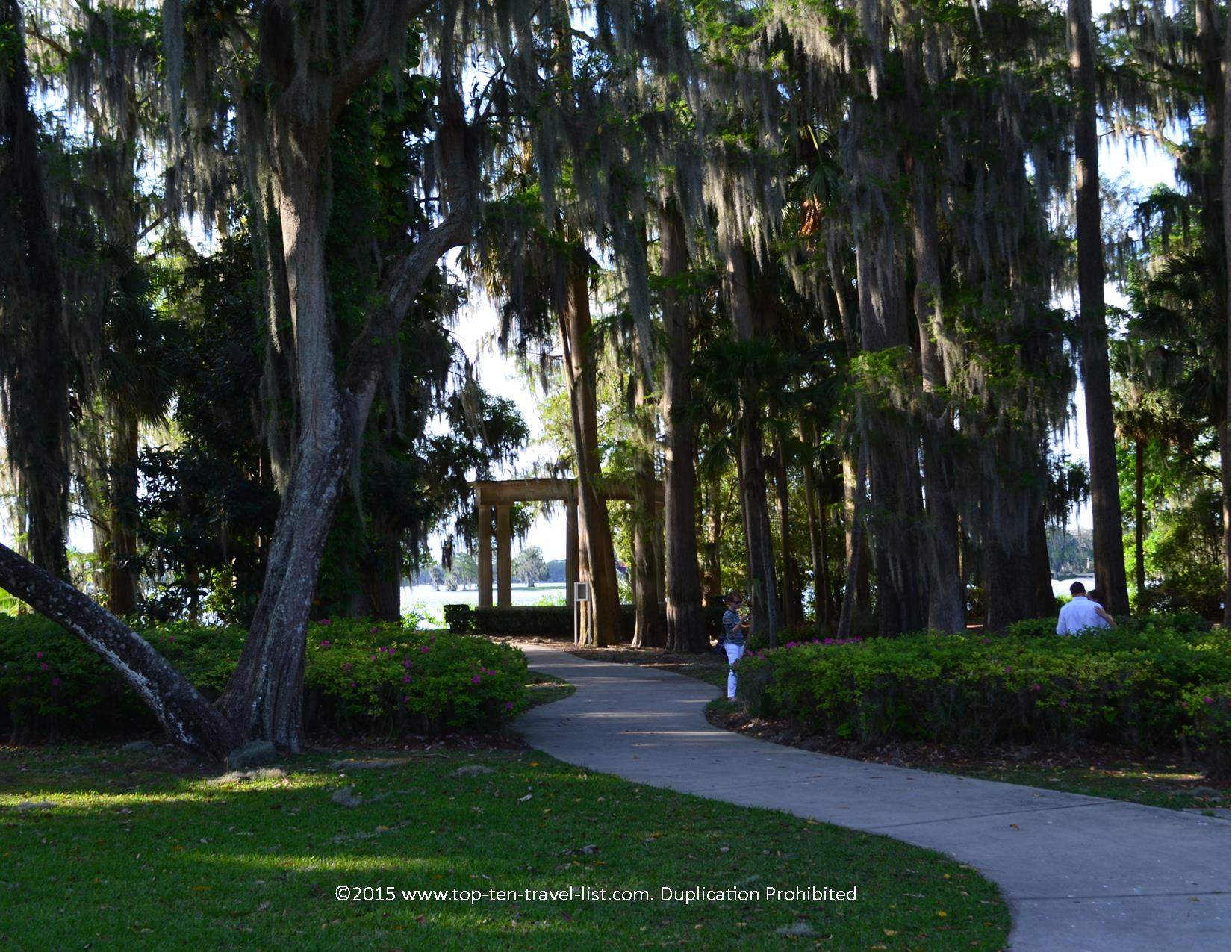 Kraft Azalea garden trees in Winter Park, Florida 