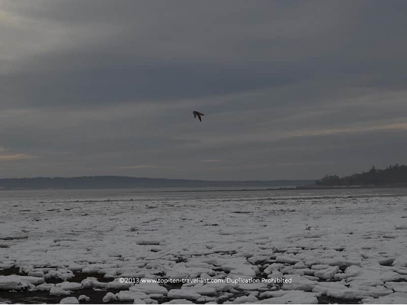 Winter scenery at Little Harbor Beach in Wareham, MA