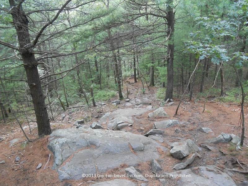 Blue Hills - beautiful place to hike near Boston
