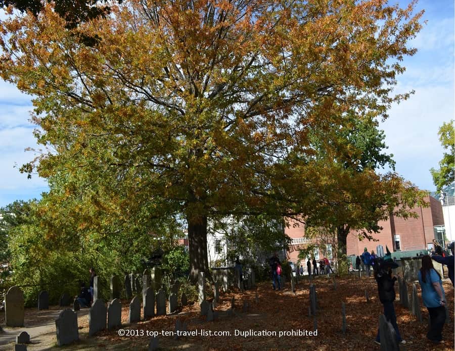 Fall foliage at Old Burying Point in Salem, MA