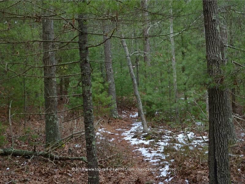 Great Neck Wildlife Refuge in Wareham, MA
