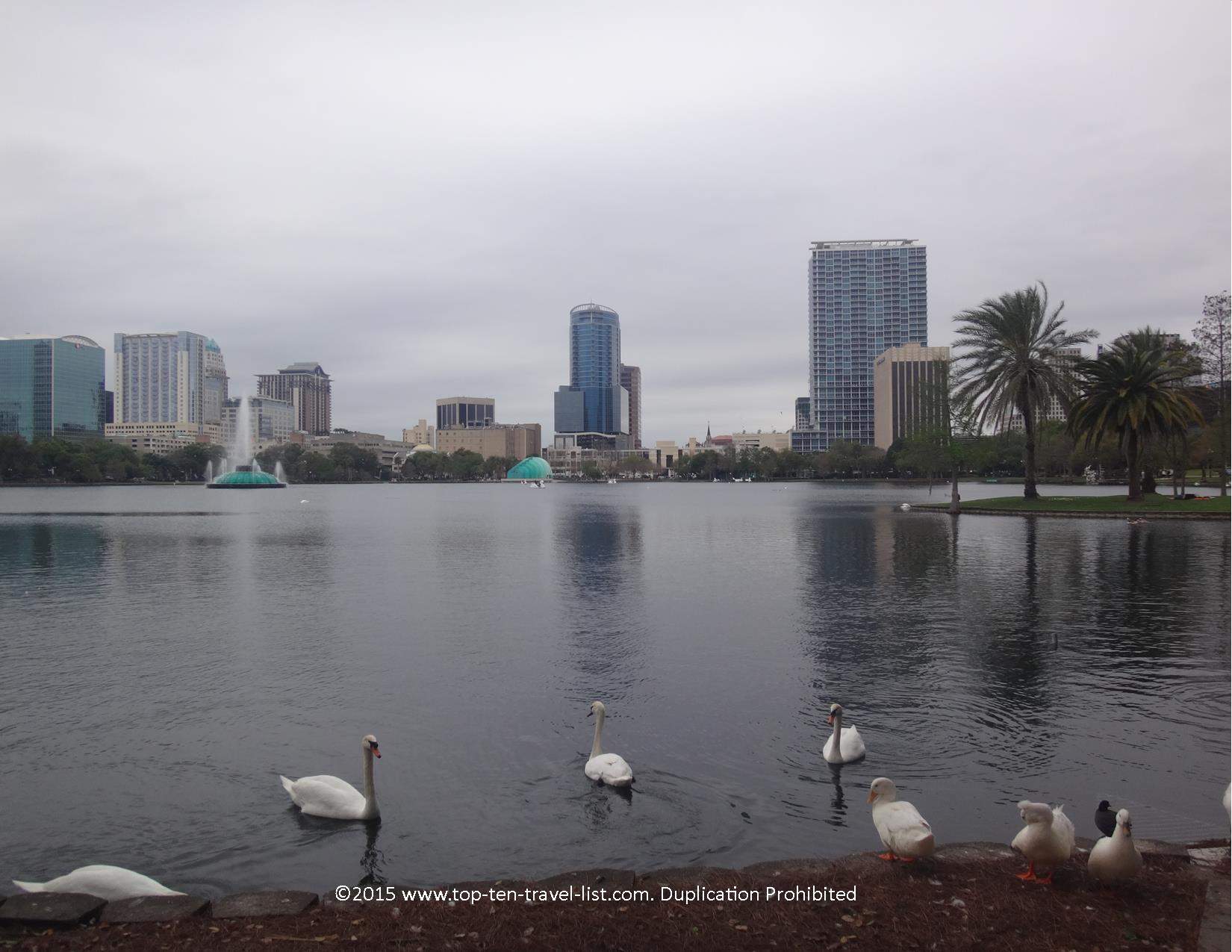 Views of the Orlando skyline via Lake Eola Park