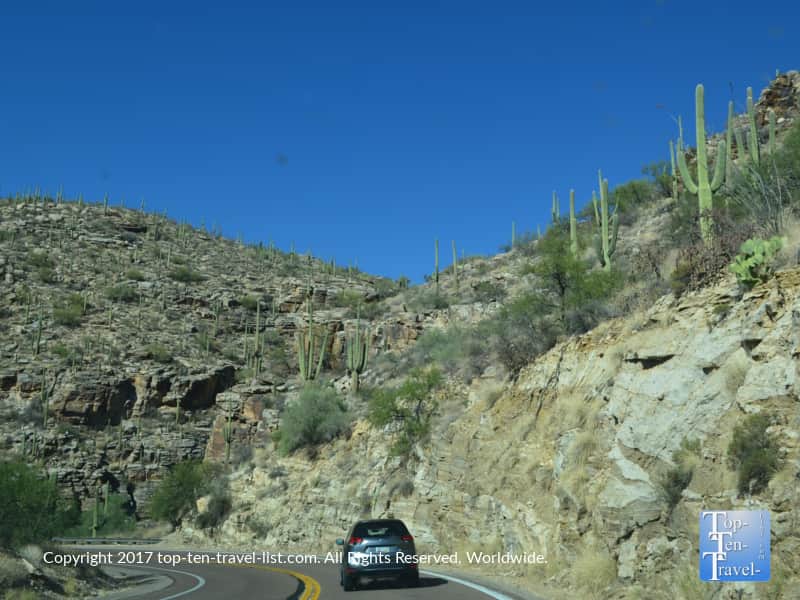 Cacti studded landscapes along the Mt Lemmon Scenic Byway 