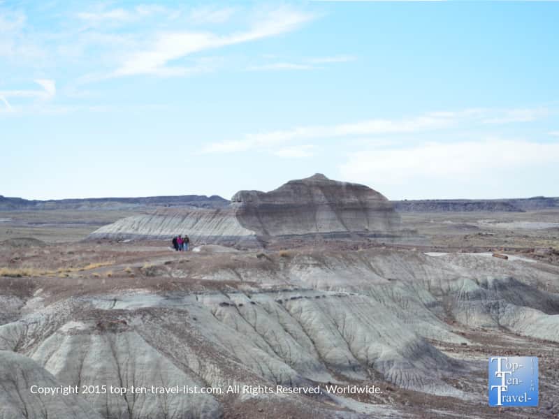 Crystal Forest at the Petrified National Forest in Northern Arizona