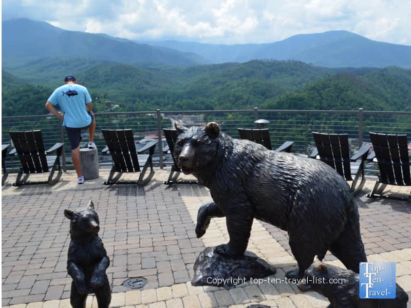 Cute black bear decor at SkyLift Park in Gatlinburg