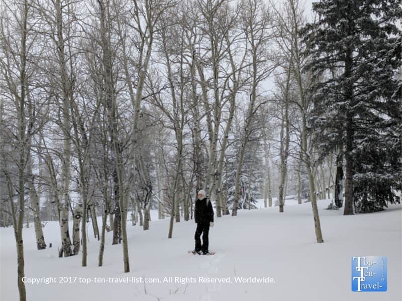 Snowshoeing along the Aspen Nature Loop in Flagstaff, Arizona