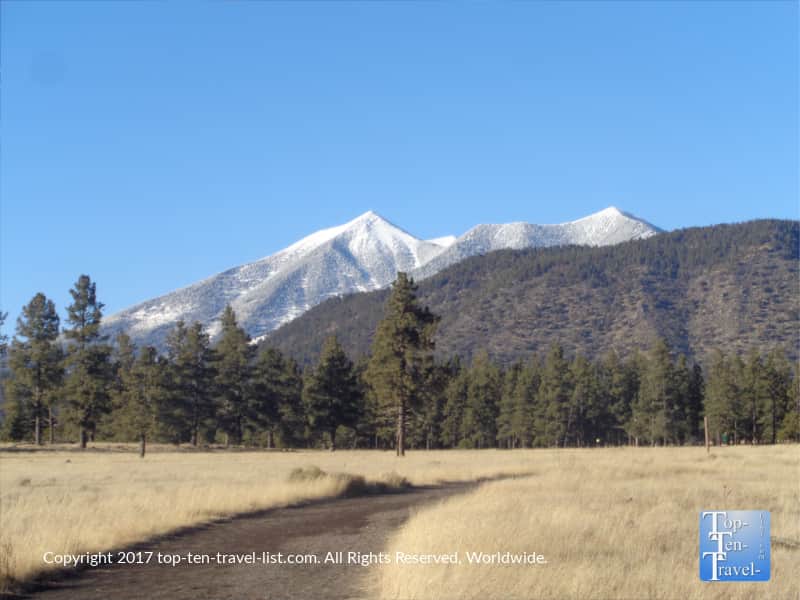 Snow capped peaks at Buffalo Park in Flagstaff, Arizona