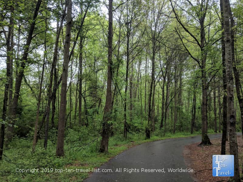 Nature trail at Lake Conestee Park in Greenville, South Carolina