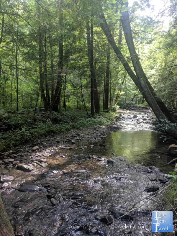 Cataract Falls trail creek views in Gatlinburg, TN