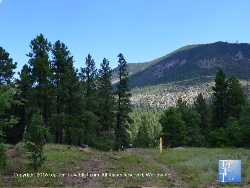 Spring mountain scenery at Buffalo Park in Flagstaff, Arizona