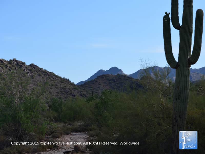 Beautiful trails at Scottsdale McDowell Preserve in Arizona 
