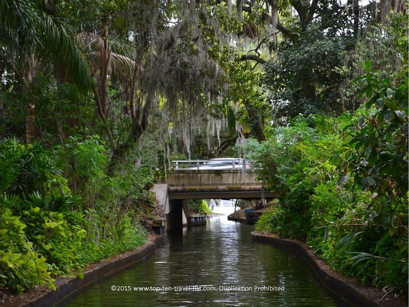 Scenic boat tour in Winter Park, Florida