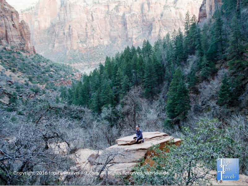 Incredible overlook along the Emerald Pools trail at Zion National Park