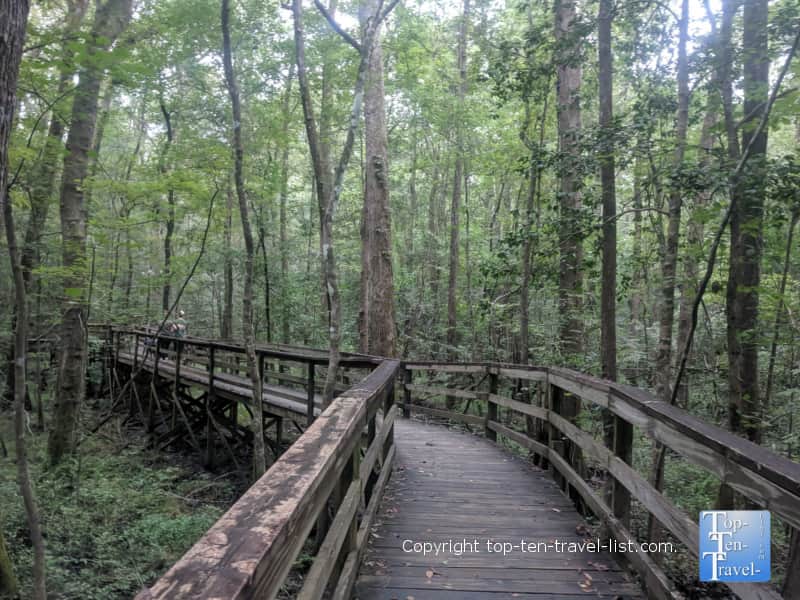 Boardwalk nature trail at Congaree National Park in South Carolina