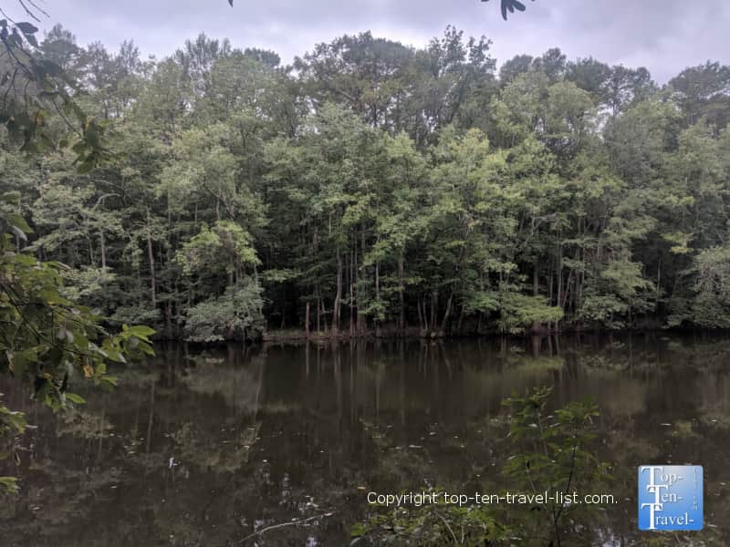 Lake view at beautiful Congaree National Park in South Carolina