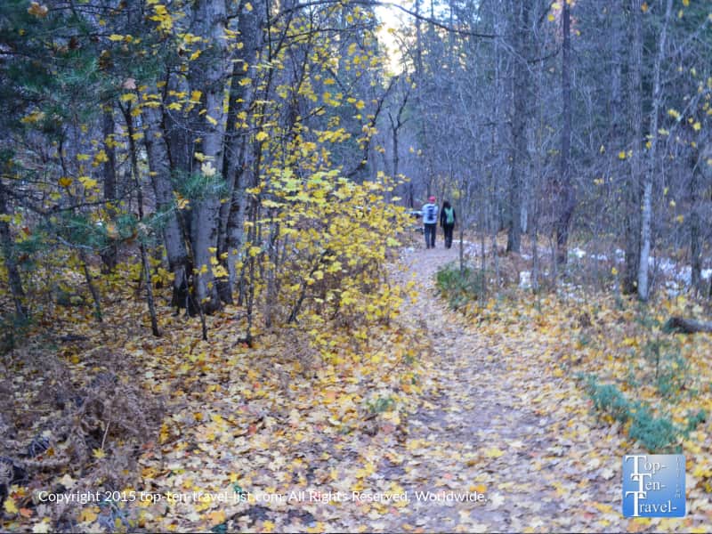 Hiking amongst golden foliage along the West Fork trail in Sedona, Arizona