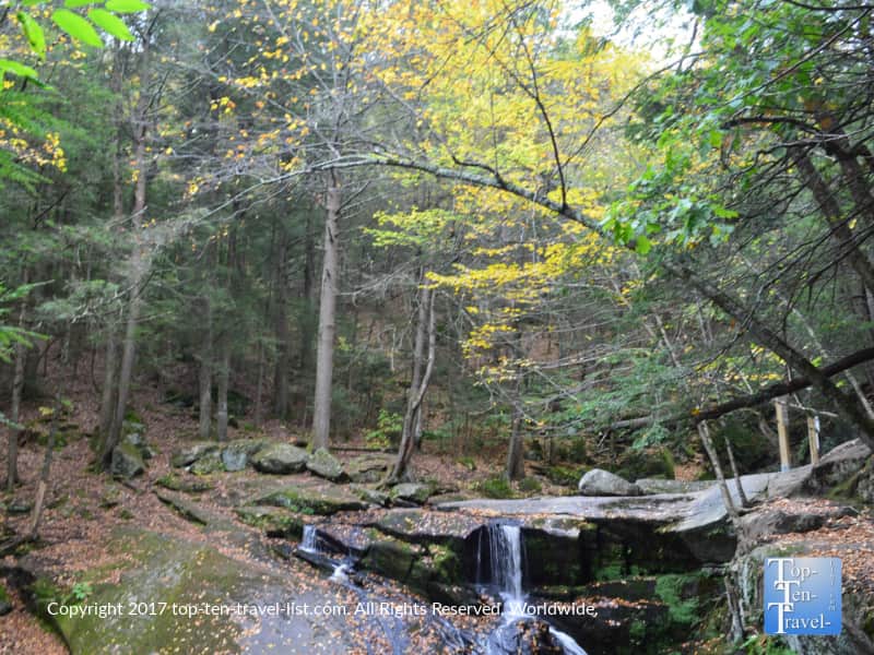 Fall foliage at Enders State Forest in Connecticut
