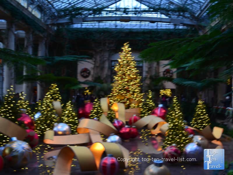 Christmas tree at Longwood Gardens