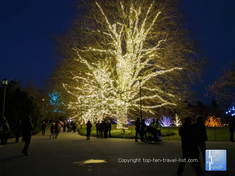 Beautiful Christmas lights at Longwood Gardens in Pennsylvania 