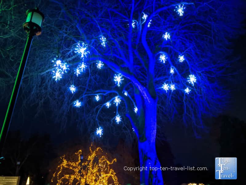 Twinkling holiday lights at Longwood Gardens in Pennsylvania 
