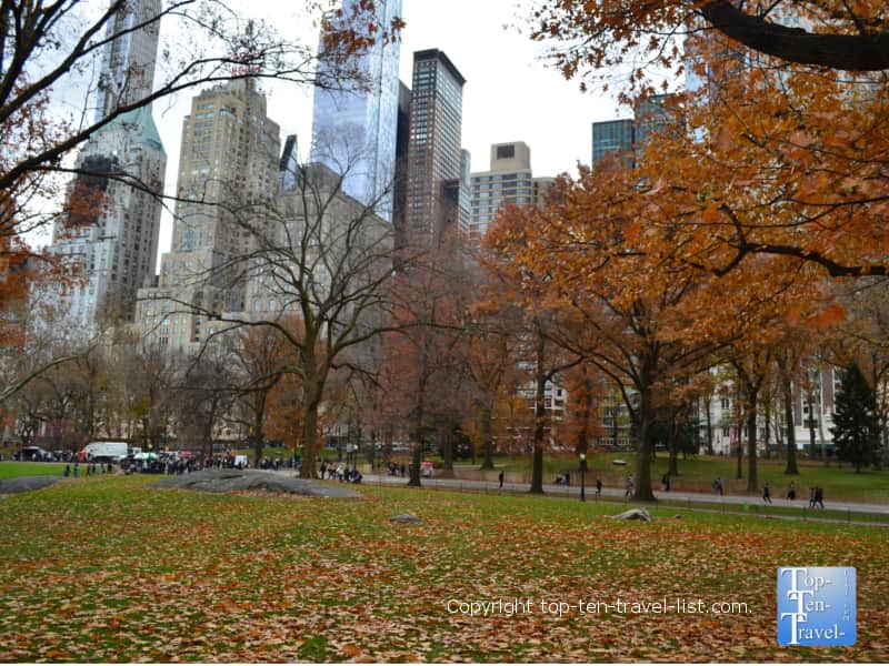 Central Park in the fall