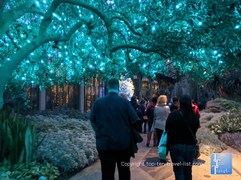 Festive holiday lights at Longwood Gardens in Pennsylvania 