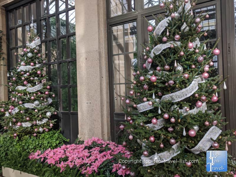 Elegant Christmas tree at Longwood Gardens