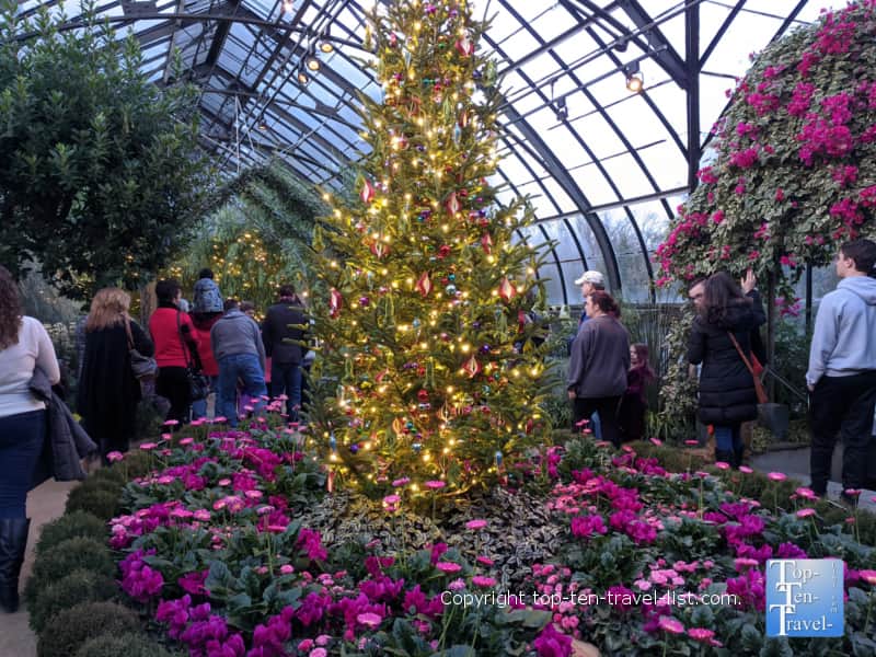 Festive Christmas tree at Longwood Gardens in Pennsylvania 