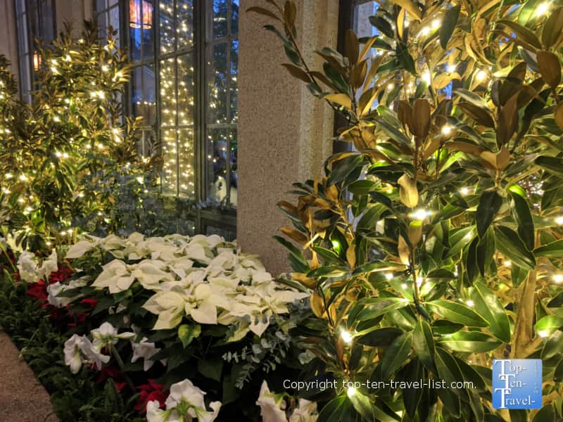 Pretty holiday lights at Longwood Gardens in Pennsylvania