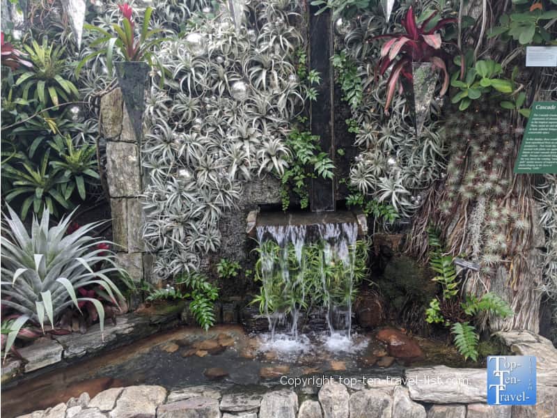 Small waterfall at Longwood Gardens 