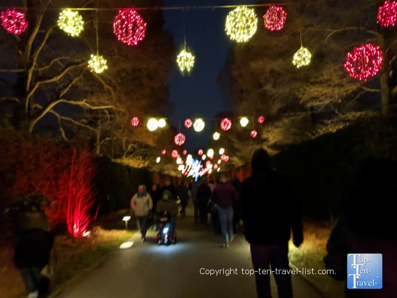 Tunnel of Christmas lights at Longwood Gardens in Pennsylvania 