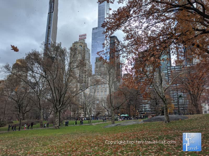 Winter day in Central Park 