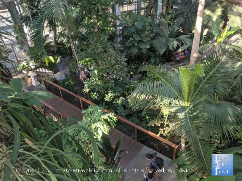 Exploring the tropical plant life at the US Botanic Garden in Washington D.C.